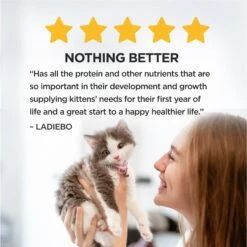 Kitten Chow Nurture Muscle & Brain Development Dry Cat Food -Furry Friends 100176 PT5. AC SS1800 V1695735300