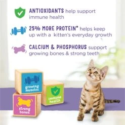 Kitten Chow Nurture Muscle & Brain Development Dry Cat Food -Furry Friends 100176 PT6. AC SS1800 V1695837116