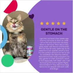 I And Love And You Salmon Chanted Evening Stew Grain-Free Canned Cat Food -Furry Friends 100756 PT3. AC SS1800 V1692390322
