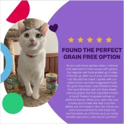 I And Love And You Tuna Fintastic Stew Grain-Free Canned Cat Food 14 I And Love And You Tuna Fintastic Stew Grain-Free Canned Cat Food -Furry Friends 100758 PT3. AC SS1800 V1692391164