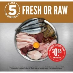 ORIJEN Original Grain-Free Dry Cat Food -Furry Friends 101301 PT3. AC SS1800 V1689692247