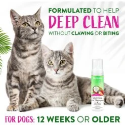 TropiClean Waterless Deep Cleaning Cat Shampoo -Furry Friends 101327 PT4. AC SS1800 V1684407405