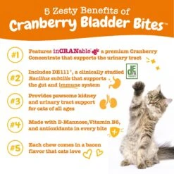 Zesty Paws Cranberry Bladder Bites Bacon Flavored Soft Chews Urinary Supplement For Cats, 60 Count 12 Zesty Paws Cranberry Bladder Bites Bacon Flavored Soft Chews Urinary Supplement For Cats, 60 Count -Furry Friends 1014414 PT1. AC SS1800 V1699288450