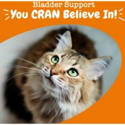 Zesty Paws Cranberry Bladder Bites Bacon Flavored Soft Chews Urinary Supplement For Cats, 60 Count 14 Zesty Paws Cranberry Bladder Bites Bacon Flavored Soft Chews Urinary Supplement For Cats, 60 Count -Furry Friends 1014414 PT3. AC SS1800 V1699288358