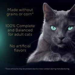 Sheba Gravy Indulgence Salmon Entree In Extra Gravy Grain-Free Adult Wet Cat Food, 2.64-oz Can, Case Of 24 -Furry Friends 1017670 PT3. AC SS1800 V1700599138