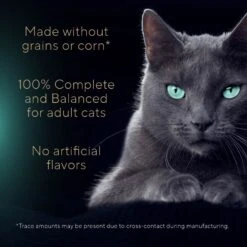 Sheba Gravy Indulgence Chicken & Beef In Extra Gravy Variety Pack Grain-Free Adult Wet Cat Food, 2.64-oz Can, Case Of 12 14 Sheba Gravy Indulgence Chicken & Beef In Extra Gravy Variety Pack Grain-Free Adult Wet Cat Food, 2.64-oz Can, Case Of 12 -Furry Friends 1017678 PT3. AC SS1800 V1700599150