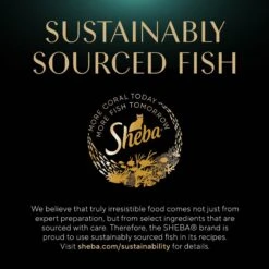 Sheba Gravy Indulgence Chicken & Beef In Extra Gravy Variety Pack Grain-Free Adult Wet Cat Food, 2.64-oz Can, Case Of 12 18 Sheba Gravy Indulgence Chicken & Beef In Extra Gravy Variety Pack Grain-Free Adult Wet Cat Food, 2.64-oz Can, Case Of 12 -Furry Friends 1017678 PT7. AC SS1800 V1700599217