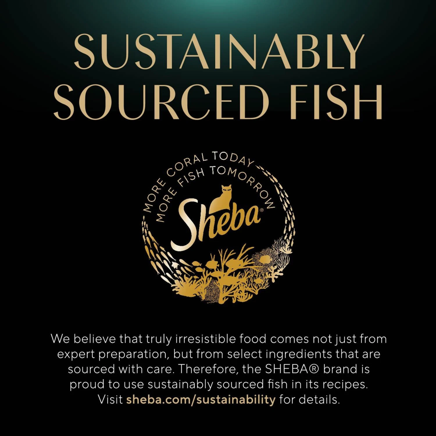 Sheba Gravy Indulgence Chicken & Beef In Extra Gravy Variety Pack Grain-Free Adult Wet Cat Food, 2.64-oz Can, Case Of 12 10 Sheba Gravy Indulgence Chicken & Beef In Extra Gravy Variety Pack Grain-Free Adult Wet Cat Food, 2.64-oz Can, Case Of 12 - Image 8