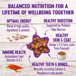 Wellness Complete Health Minced Poultry Pleasers Variety Pack Grain-Free Canned Cat Food -Furry Friends 102003 PT6. AC SS1800 V1666650038