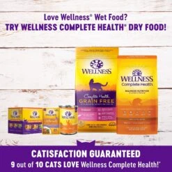 Wellness Complete Health Poultry Lovers Pate Variety Pack Grain-Free Natural Canned Cat Food 19 Wellness Complete Health Poultry Lovers Pate Variety Pack Grain-Free Natural Canned Cat Food -Furry Friends 102005 PT8. AC SS1800 V1639692100