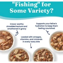 Solid Gold Five Oceans Variety Pack Wet Cat Food, 3-oz Can, Case Of 12 11 Solid Gold Five Oceans Variety Pack Wet Cat Food, 3-oz Can, Case Of 12 -Furry Friends 1021734 PT3. AC SS1800 V1700681131