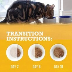 Purina Beyond Grain-Free Pate 3 Flavors Variety Pack Canned Cat Food 18 Purina Beyond Grain-Free Pate 3 Flavors Variety Pack Canned Cat Food -Furry Friends 102323 PT7. AC SS1800 V1700162608