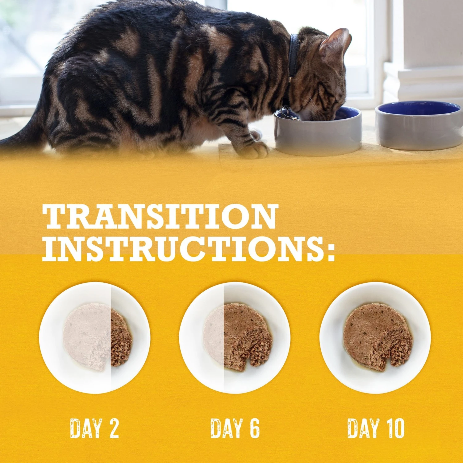 Purina Beyond Grain-Free Pate 3 Flavors Variety Pack Canned Cat Food 10 Purina Beyond Grain-Free Pate 3 Flavors Variety Pack Canned Cat Food - Image 8