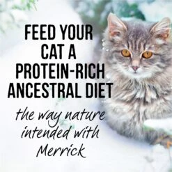 Merrick Backcountry Grain-Free Morsels In Gravy Real Turkey Recipe Cuts Cat Food Pouches -Furry Friends 102338 PT6. AC SS1800 V1638036399