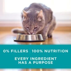 Purina ONE True Instinct Turkey, Chicken & Tuna Variety Pack Canned Cat Food -Furry Friends 102381 PT5. AC SS1800 V1560796129