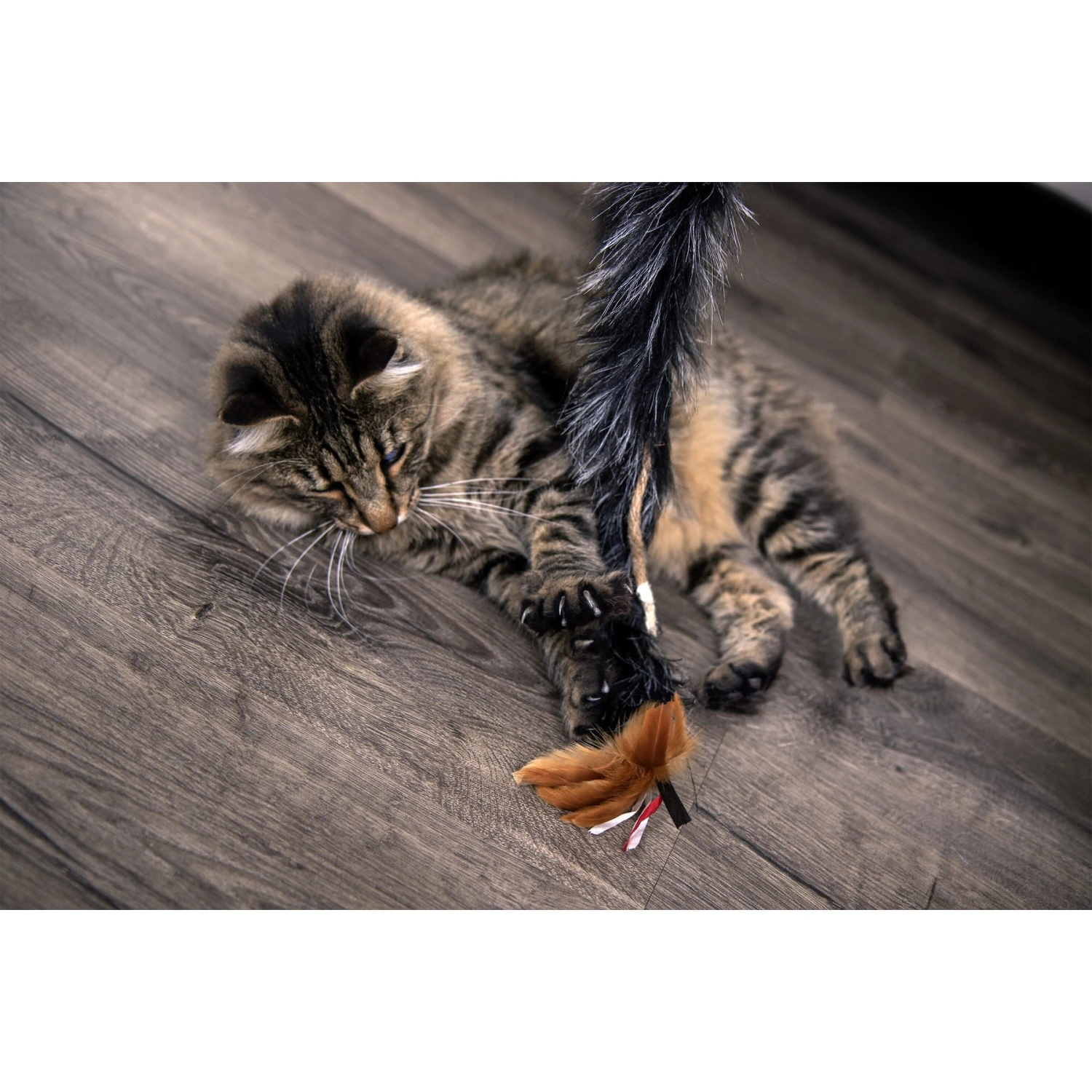 Petlinks Plume Crazy Wand Cat Toy, Color Varies 4 Petlinks Plume Crazy Wand Cat Toy, Color Varies - Image 2