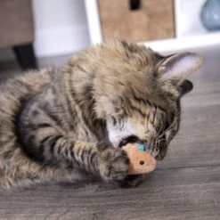 SmartyKat Chickadee Chirp Electronic Bird-Sound Cat Toy -Furry Friends 102753 PT8. AC SS1800 V1700689276