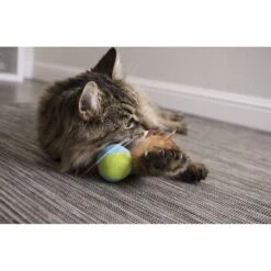 SmartyKat Flutter Balls Feathery Cat Toy 9 SmartyKat Flutter Balls Feathery Cat Toy -Furry Friends 102767 PT2. AC SS1800 V1599754615