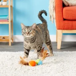 SmartyKat Flutter Balls Feathery Cat Toy 10 SmartyKat Flutter Balls Feathery Cat Toy -Furry Friends 102767 PT3. AC SS1800 V1527257401