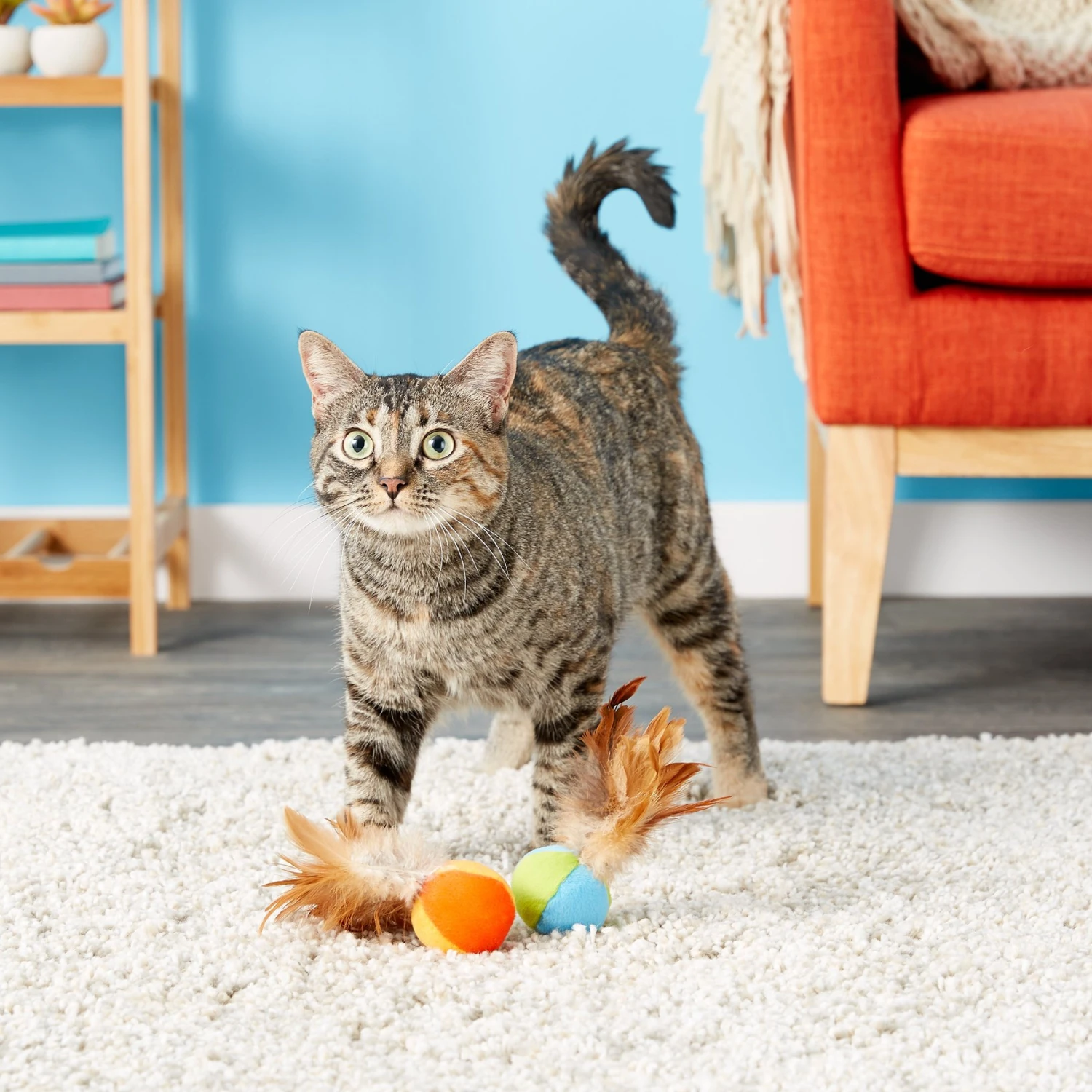 SmartyKat Flutter Balls Feathery Cat Toy 6 SmartyKat Flutter Balls Feathery Cat Toy - Image 4