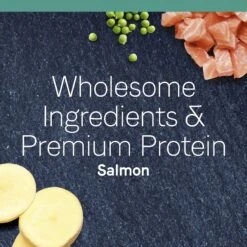 CANIDAE Grain-Free PURE Limited Ingredient Salmon Recipe Dry Cat Food 13 CANIDAE Grain-Free PURE Limited Ingredient Salmon Recipe Dry Cat Food -Furry Friends 103334 PT3. AC SS1800 V1643680318
