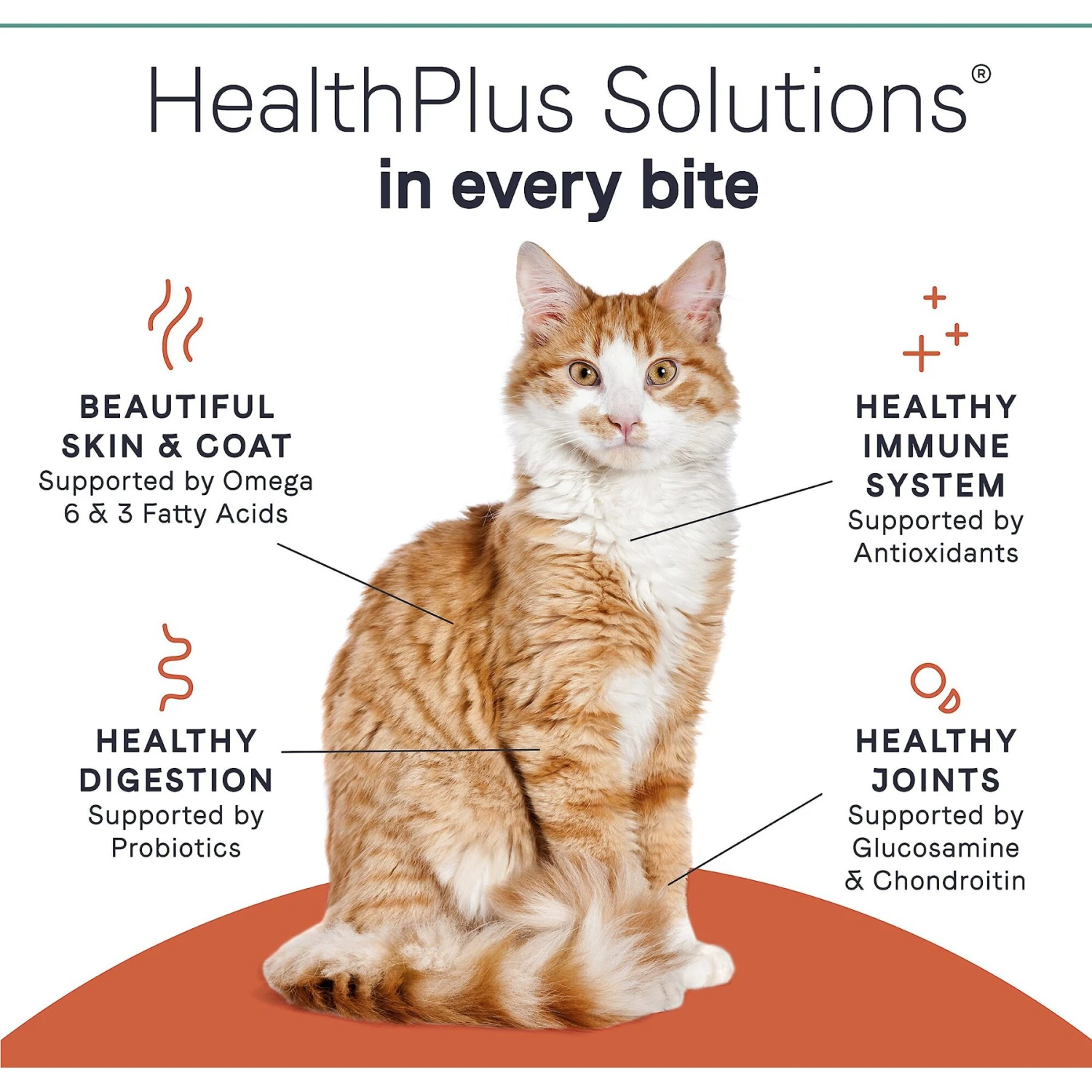 CANIDAE Grain-Free PURE Limited Ingredient Salmon Recipe Dry Cat Food 9 CANIDAE Grain-Free PURE Limited Ingredient Salmon Recipe Dry Cat Food - Image 7