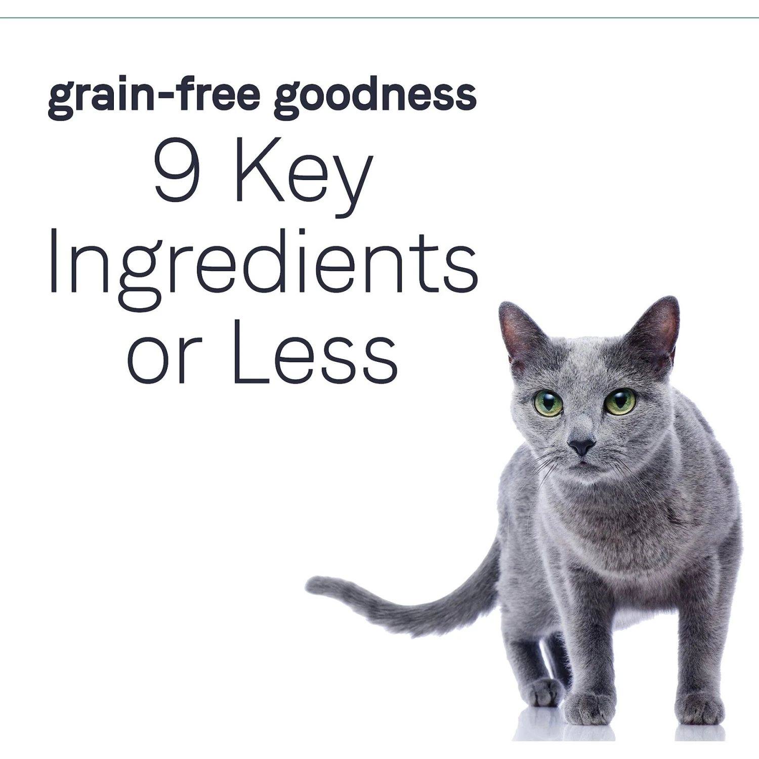 CANIDAE Grain-Free PURE Limited Ingredient Indoor Tuna Formula Dry Cat Food 7 CANIDAE Grain-Free PURE Limited Ingredient Indoor Tuna Formula Dry Cat Food - Image 5