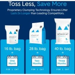 Boxiecat Premium Unscented Clumping Clay Cat Litter -Furry Friends 103571 PT6. AC SS1800 V1643673743
