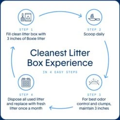 Boxiecat Premium Unscented Clumping Clay Cat Litter -Furry Friends 103571 PT7. AC SS1800 V1643670694