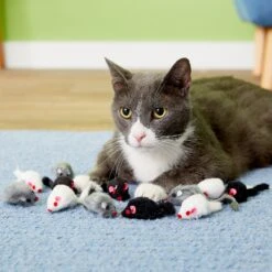 Penn-Plax Purr Pet Bag Of Mice Cat Toy, Color Varies -Furry Friends 103731 PT2. AC SS1800 V1595370657