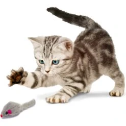 Penn-Plax Purr Pet Bag Of Mice Cat Toy, Color Varies -Furry Friends 103731 PT3. AC SS1800 V1595365257
