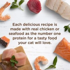 Rachael Ray Nutrish Chicken Lovers Variety Pack Natural Grain-Free Wet Cat Food -Furry Friends 104068 PT3. AC SS1800 V1535580136