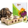 Cat Amazing Interactive Treat Maze & Puzzle Cat Toy -Furry Friends 105304 MAIN. AC SS1800 V1591991787