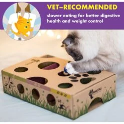 Cat Amazing Interactive Treat Maze & Puzzle Cat Toy -Furry Friends 105304 PT3. AC SS1800 V1490298113