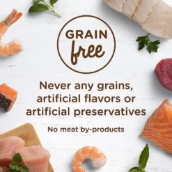 Rachael Ray Nutrish Ocean Fish-A-Licious Natural Grain-Free Wet Cat Food -Furry Friends 105379 PT4. AC SS1800 V1535580171