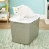 Petmate Top Entry Litter Pan -Furry Friends 105471 MAIN. AC SS1800 V1565284745