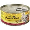 Fussie Cat Super Premium Chicken & Beef Formula In Pumpkin Soup Grain-Free Canned Cat Food -Furry Friends 105720 MAIN. AC SS1800 V1642556188