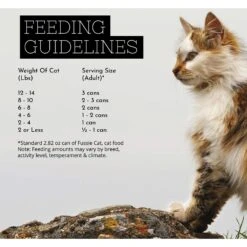 Fussie Cat Super Premium Chicken & Beef Formula In Pumpkin Soup Grain-Free Canned Cat Food -Furry Friends 105720 PT4. AC SS1800 V1642565231