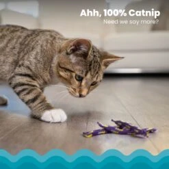 Catstages Night Time Catnip Rolls Cat Toy -Furry Friends 105803 PT2. AC SS1800 V1636509428