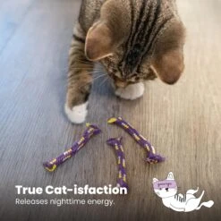 Catstages Night Time Catnip Rolls Cat Toy -Furry Friends 105803 PT5. AC SS1800 V1636518418