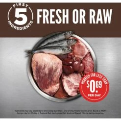 ORIJEN Regional Red Grain-Free Dry Cat Food -Furry Friends 106516 PT3. AC SS1800 V1689693094