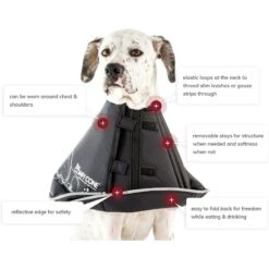 All Four Paws Comfy Cone E-Collar For Dogs & Cats, Black -Furry Friends 106789 PT6. AC SS1800 V1592961816