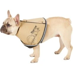 All Four Paws Comfy Cone E-Collar For Dogs & Cats, Tan -Furry Friends 106836 PT2. AC SS1800 V1517350915