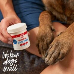 Dogswell Remedy+Recovery Professional Groomer's Styptic Powder For Dogs, Cats & Birds -Furry Friends 107144 PT5. AC SS1800 V1650510100