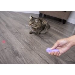 SmartyKat Feline Flash Laser Pointer Cat Toy -Furry Friends 107603 PT2. AC SS1800 V1599754693