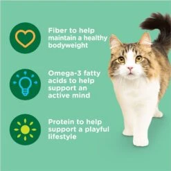 Rachael Ray Nutrish Indoor Complete Chicken With Lentils & Salmon Recipe Natural Dry Cat Food 15 Rachael Ray Nutrish Indoor Complete Chicken With Lentils & Salmon Recipe Natural Dry Cat Food -Furry Friends 108512 PT4. AC SS1800 V1691768642