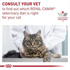Royal Canin Veterinary Diet Adult Ultamino Dry Cat Food -Furry Friends 109138 PT8. AC SS1800 V1695136966