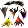 Pet Fit For Life 6 Piece Replacement Feather Pack For Wand Cat Toy 2 Pet Fit For Life 6 Piece Replacement Feather Pack For Wand Cat Toy -Furry Friends 109318 MAIN. AC SS1800 V1589320684