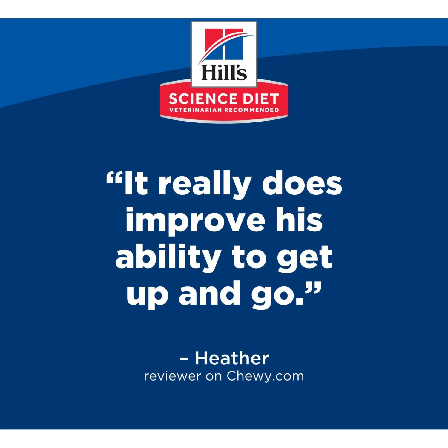 Hill's Science Diet Adult 7+ Senior Vitality Chicken Recipe Dry Cat Food 4 Hill's Science Diet Adult 7+ Senior Vitality Chicken Recipe Dry Cat Food - Image 2