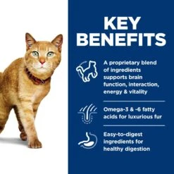 Hill's Science Diet Adult 7+ Senior Vitality Chicken Recipe Dry Cat Food 12 Hill's Science Diet Adult 7+ Senior Vitality Chicken Recipe Dry Cat Food -Furry Friends 109450 PT3. AC SS1800 V1597960595